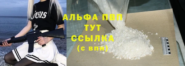сатива Бронницы